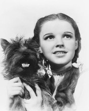 This is an image of 176607 The Wizard of Oz Photograph & Poster