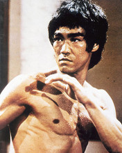This is an image of 278372 Bruce Lee Photograph & Poster