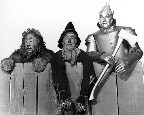 This is an image of 176604 The Wizard of Oz Photograph & Poster