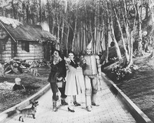 This is an image of 176609 The Wizard of Oz Photograph & Poster