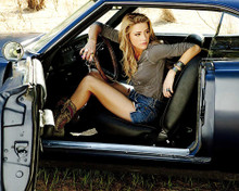 This is an image of 283577 Amber Heard Photograph & Poster