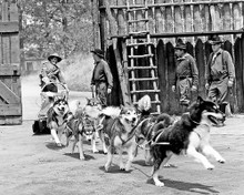 This is an image of 193606 F-Troop Photograph & Poster