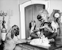 This is an image of 195608 Donna Douglas Photograph & Poster
