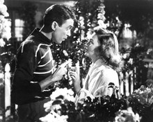This is an image of 193670 Its a Wonderful Life Photograph & Poster