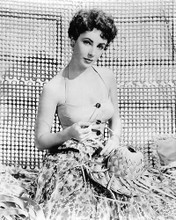 This is an image of 193746 Elizabeth Taylor Photograph & Poster