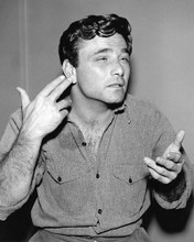 This is an image of 193956 Peter Falk Photograph & Poster
