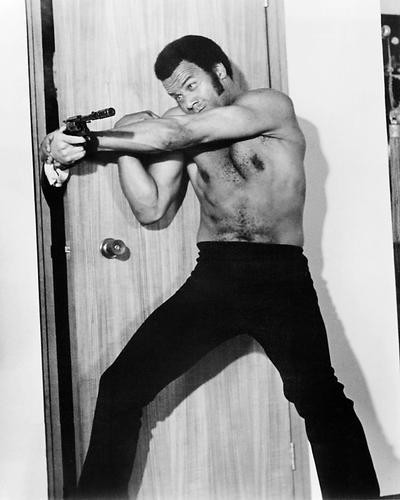 This is an image of 194025 Fred Williamson Photograph & Poster