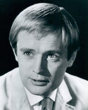 This is an image of 190100 David McCallum Photograph & Poster
