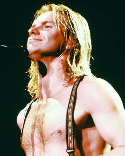 This is an image of 278112 Sting Photograph & Poster