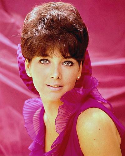 This is an image of 280666 Suzanne Pleshette Photograph & Poster