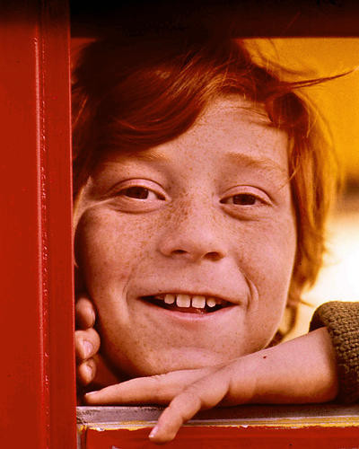 This is an image of 280665 Danny Bonaduce Photograph & Poster
