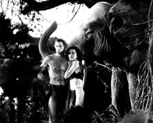 This is an image of 187744 Tarzan Photograph & Poster