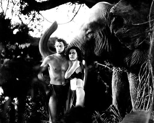 This is an image of 187744 Tarzan Photograph & Poster