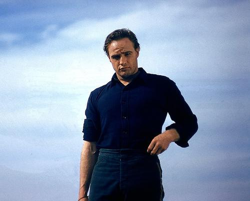 This is an image of 276012 Marlon Brando Photograph & Poster