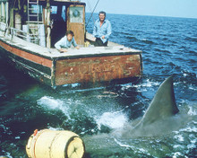 This is an image of 269128 Jaws Photograph & Poster