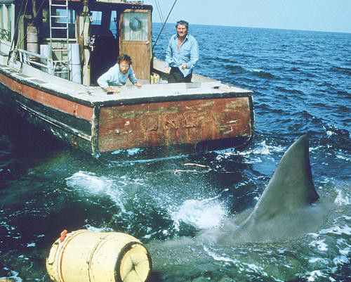 This is an image of 269128 Jaws Photograph & Poster