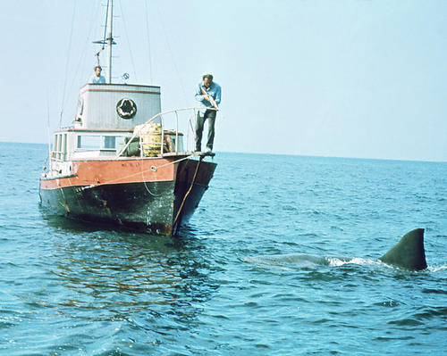 This is an image of 269124 Jaws Photograph & Poster