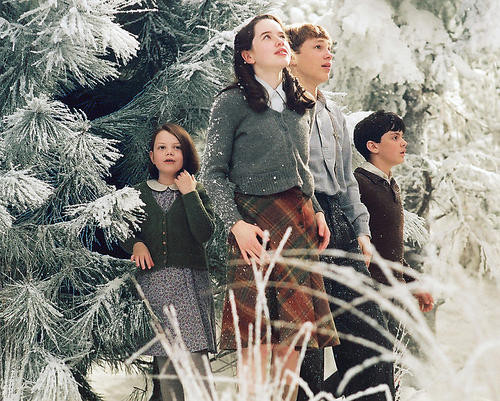 Movie Market Photograph Poster Of The Lion The Witch And The