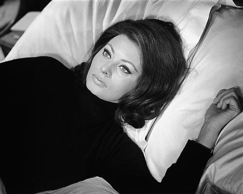 This is an image of 172731 Sophia Loren Photograph & Poster