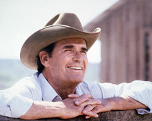 This is an image of 232929 James Garner Photograph & Poster