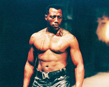 This is an image of 233751 Wesley Snipes Photograph & Poster