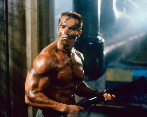 This is an image of 264128 Arnold Schwarzenegger Photograph & Poster