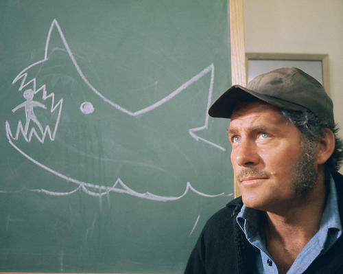 This is an image of 269117 Jaws Photograph & Poster