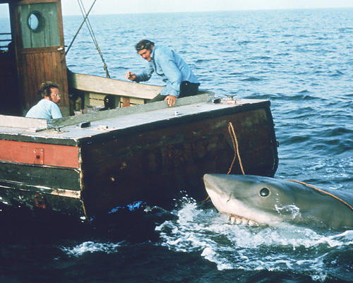 This is an image of 269131 Jaws Photograph & Poster