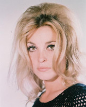 This is an image of 218480 Sharon Tate Photograph & Poster