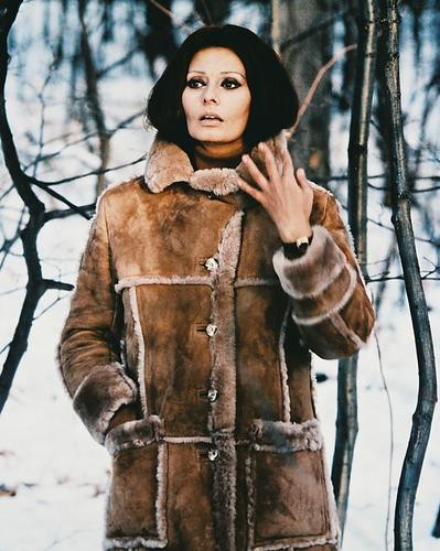 This is an image of 214113 Sophia Loren Photograph & Poster