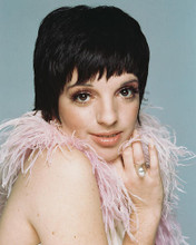 This is an image of 244534 Liza Minnelli Photograph & Poster