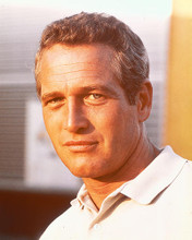 This is an image of 255396 Paul Newman Photograph & Poster