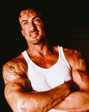 This is an image of 245001 Sylvester Stallone Photograph & Poster