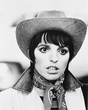 This is an image of 169617 Liza Minnelli Photograph & Poster
