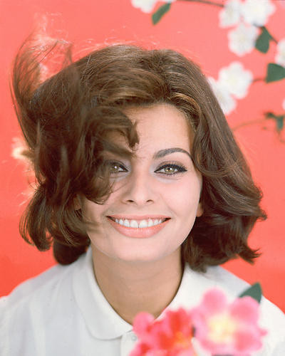 This is an image of 255050 Sophia Loren Photograph & Poster