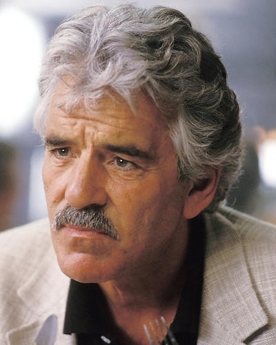 This is an image of 251586 Dennis Farina Photograph & Poster