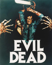This is an image of 235012 The Evil Dead Photograph & Poster