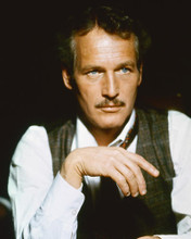 This is an image of 254840 Paul Newman Photograph & Poster