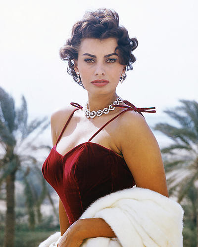 This is an image of 256206 Sophia Loren Photograph & Poster
