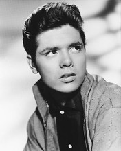 This is an image of 180132 Cliff Richard Photograph & Poster