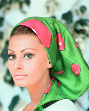 This is an image of 256805 Sophia Loren Photograph & Poster