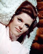 This is an image of 274008 Samantha Eggar Photograph & Poster