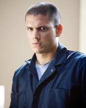 This is an image of 274078 Wentworth Miller Photograph & Poster