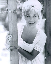 This is an image of 190134 Jane Powell Photograph & Poster