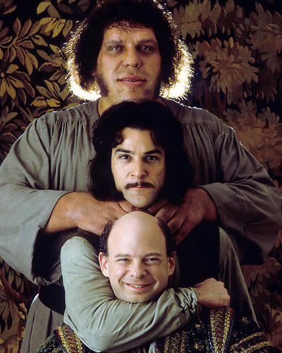 This is an image of Photograph & Poster of The Princess Bride 284212