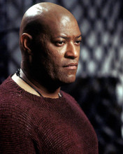 This is an image of Photograph & Poster of Laurence Fishburne 284253