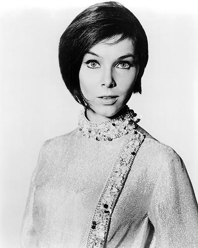 Movie Market - Photograph & Poster of Yvonne Craig 194649