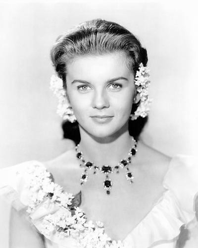 This is an image of Photograph & Poster of Ann-Margret 194655