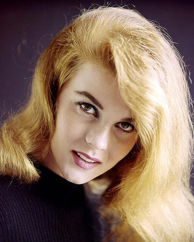 This is an image of Photograph & Poster of Ann-Margret 284434