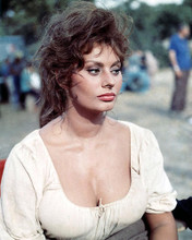 This is an image of Photograph & Poster of Sophia Loren 284442